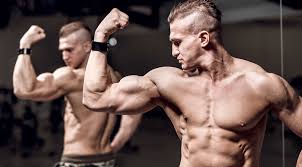 fastest way to gain lean muscle