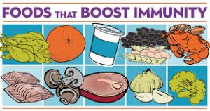 foods that boost the immune system
