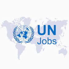 Procurement Assistant at United Nations Office at Nairobi (UNON)