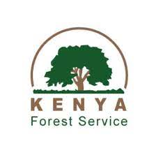 Job Vacancies at Kenya Forest Service (KFS)